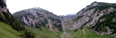 Valea Ciubotei