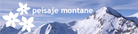 Peisaje Montane
