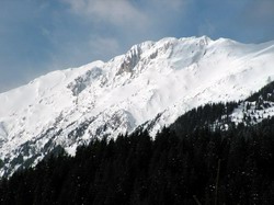 Vf. Sbirii (2222 m alt.)