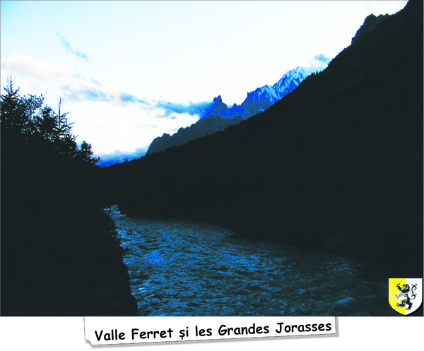 valle_Ferret1