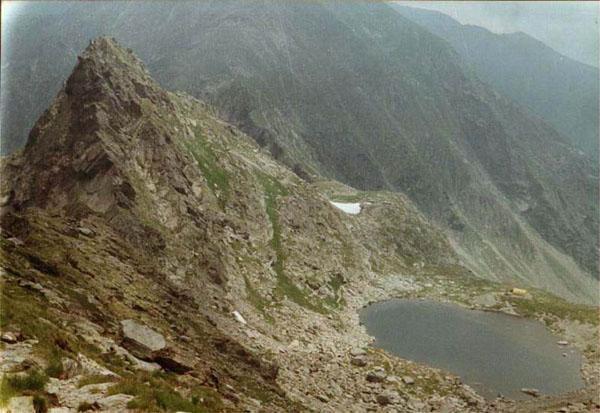 Lacrima Muntelui (Fagaras)