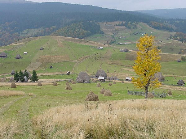 Toamna in cătun