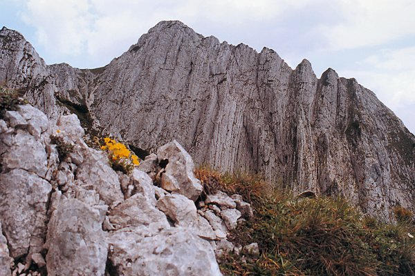 Hai-hui prin cetatea Craiului