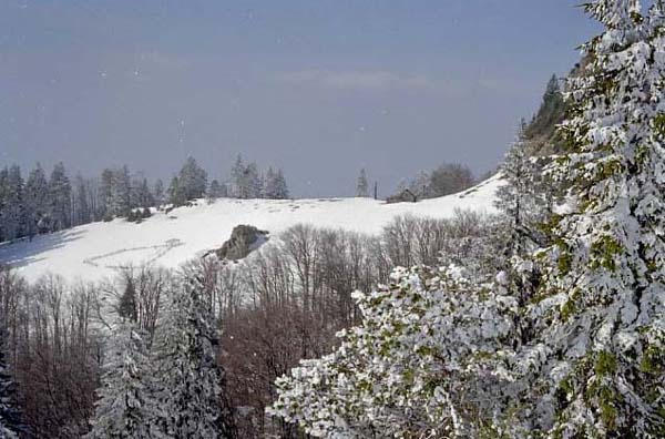 caut locatie pentru stana