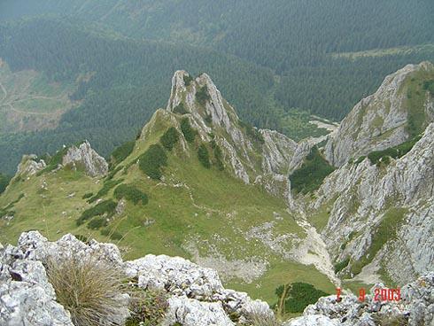 Poiana Închisă