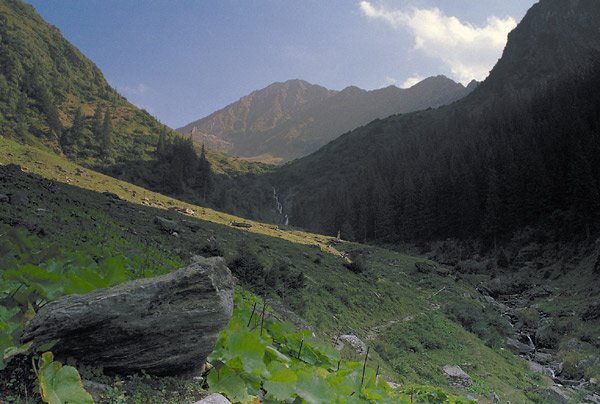 Valea Podragu