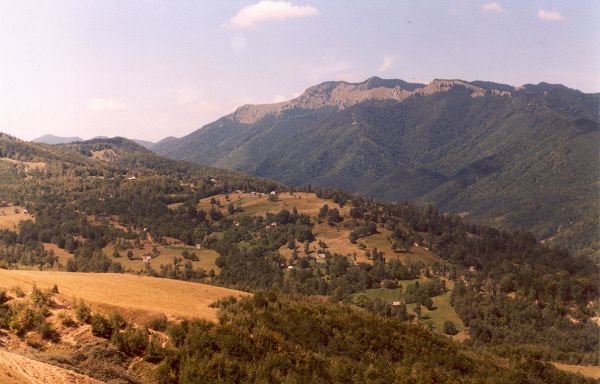 Muntele Coza