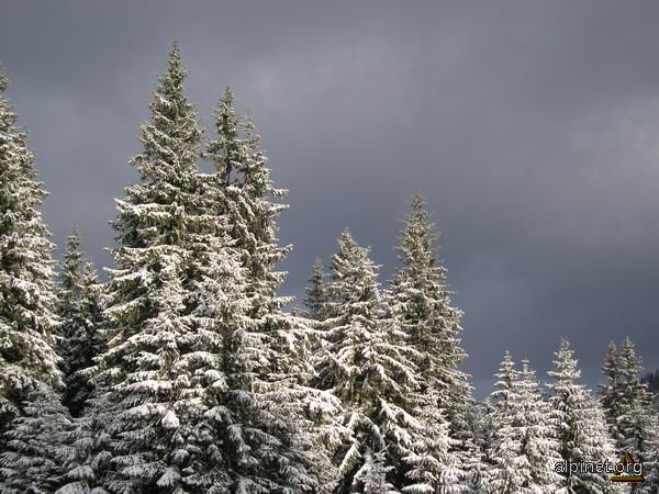 Straja la prima zăpadă 2004