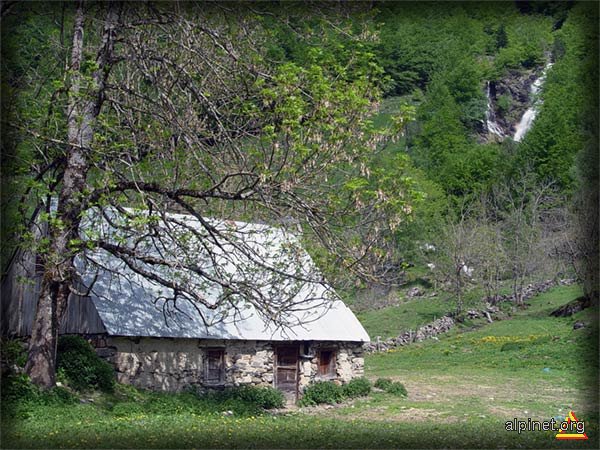 La vechea stînă