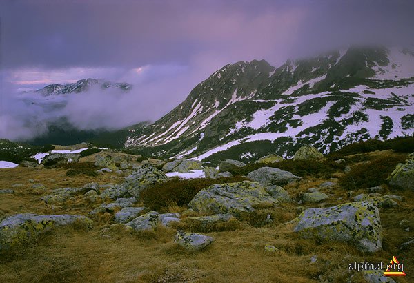 Tărâmul Iorgovanului