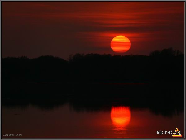 Reflexii in roşu şi negru