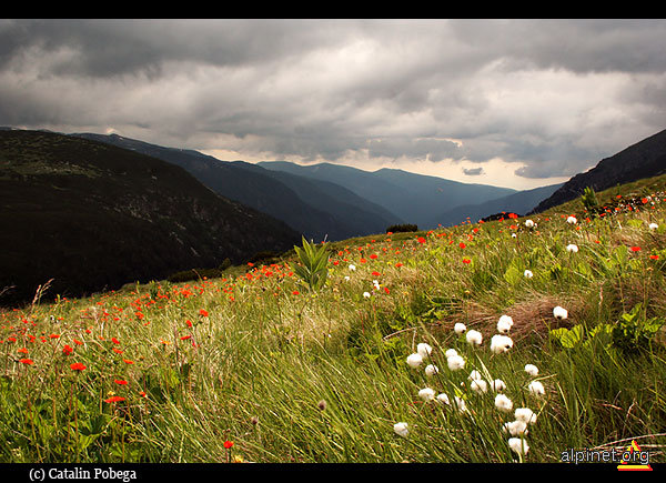 Bulgarian land