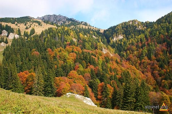 Culori de toamnă