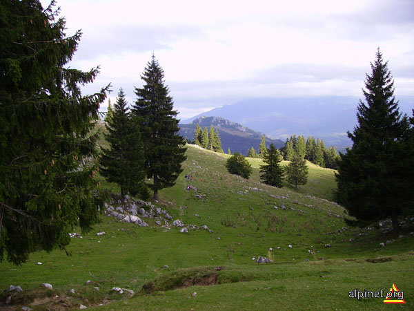 Culmea Măgura