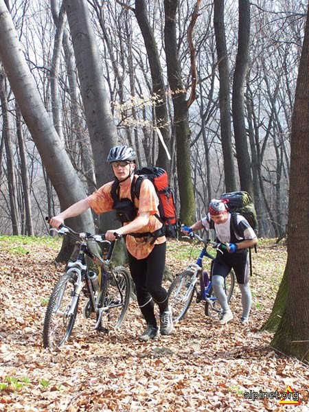 Mountain Bikers