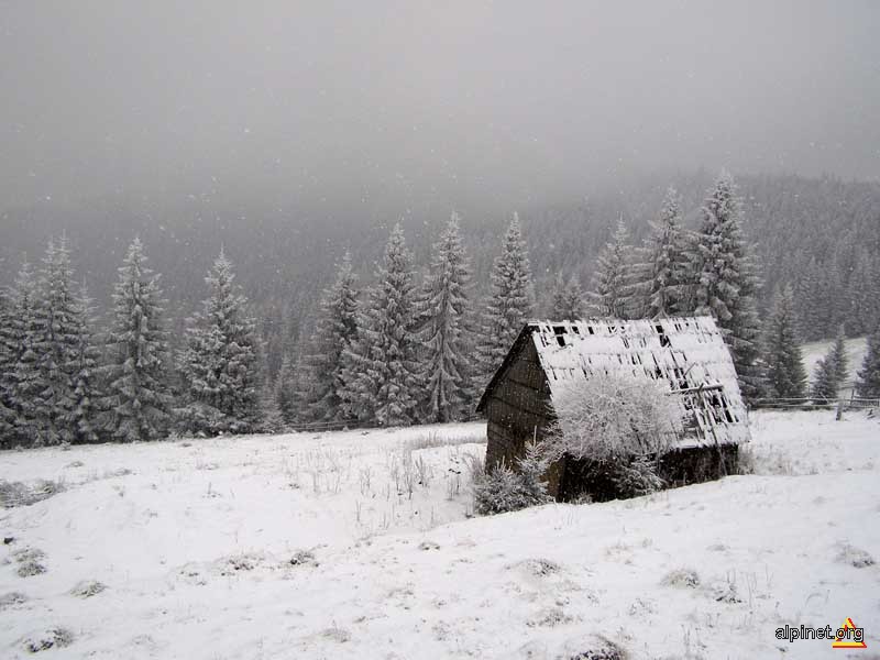 Vatra Dornei