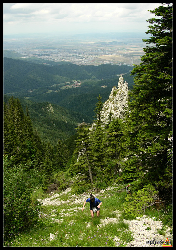 Vâlcelul de sub Piatra Mare