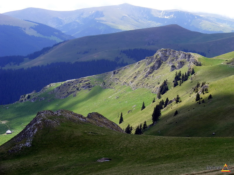 Boarnesul si stîna