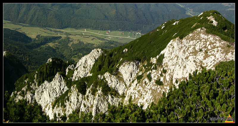 Obârşiile Padinei Şindileriei