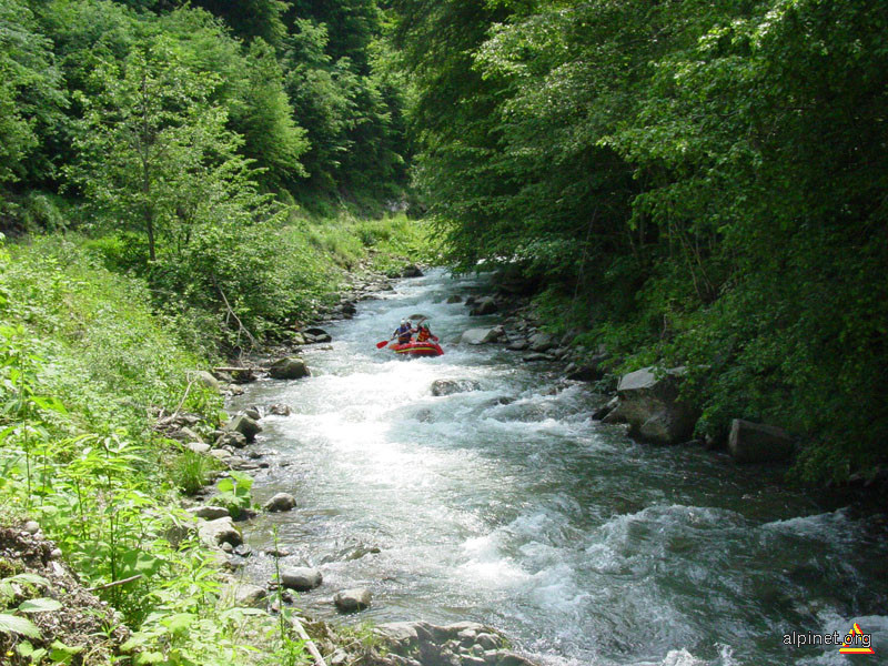 Rafting pe Bistra 2