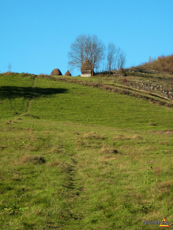 Iarba verde de acasa