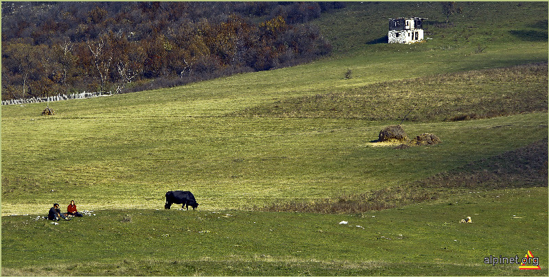 Pe româneşte