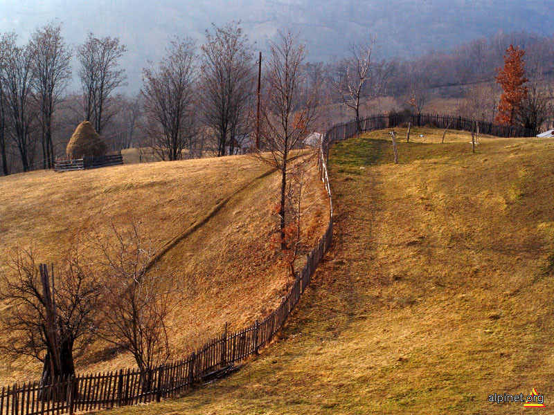 Trascău