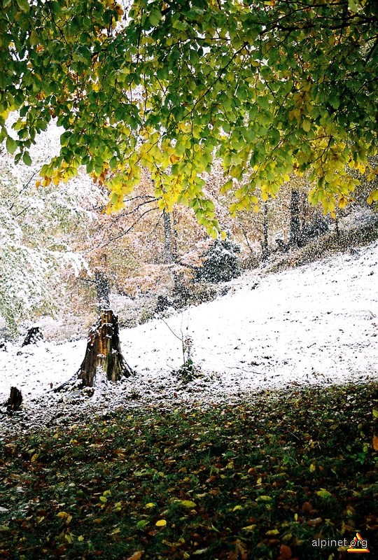 Iarna timpurie pe Valea Dambovitei