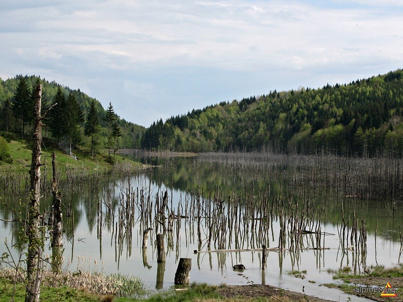 Lacul Cuejdiu