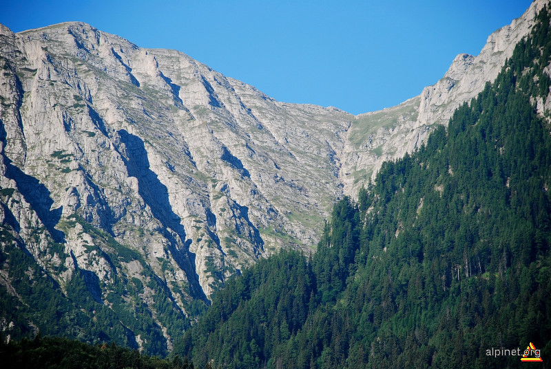 vedere spre valea alba din busteni