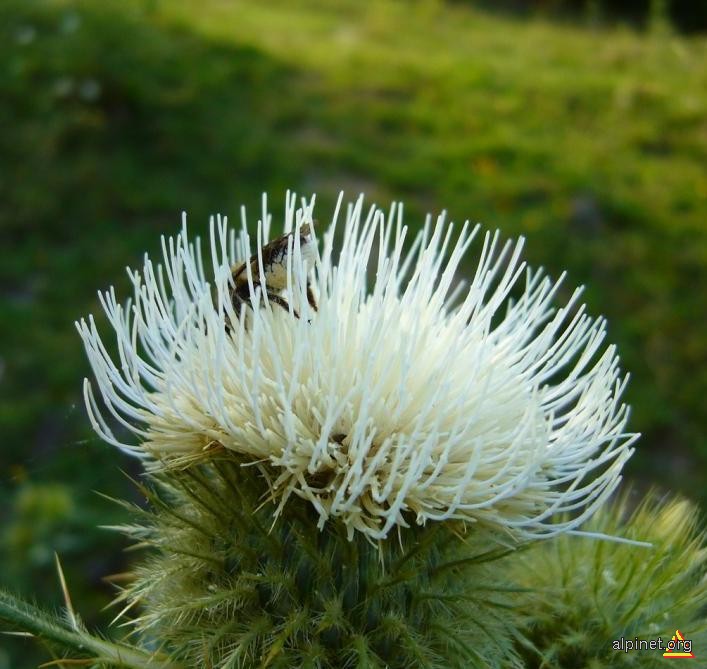 La lucru