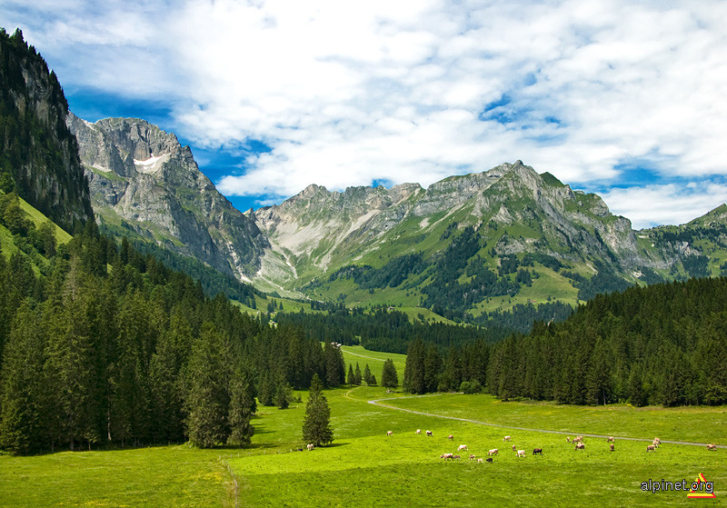 Valea Arnibach şi Scheideggstock (2078 m)
