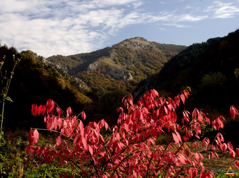 Roşu de Octombrie