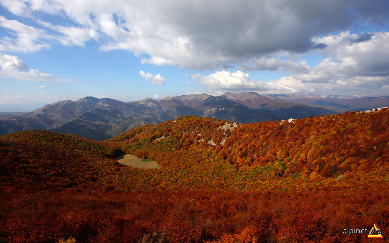 Marea Roşie