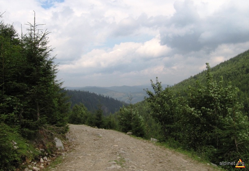 Drumul Bihorului