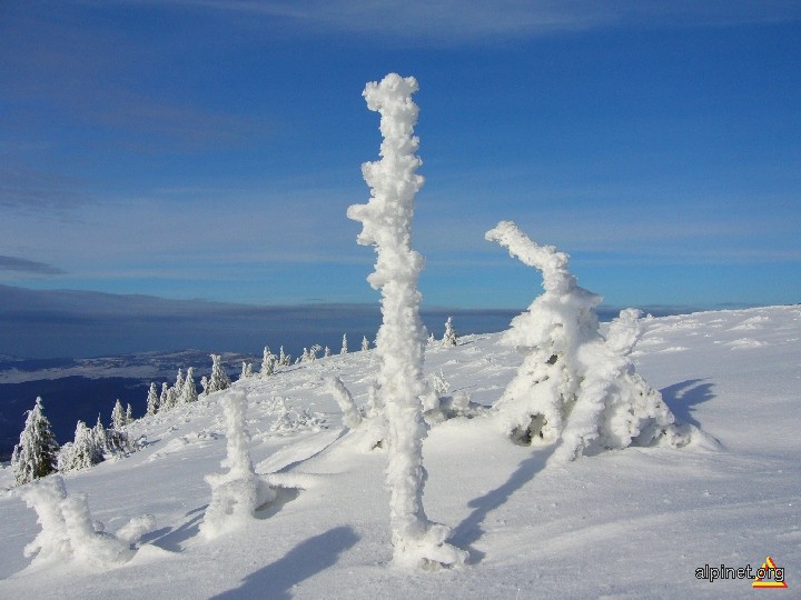 Stalagmită de... platou