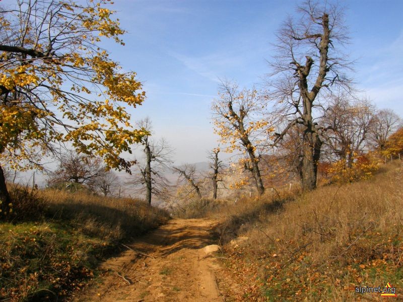 O privire în urmă...