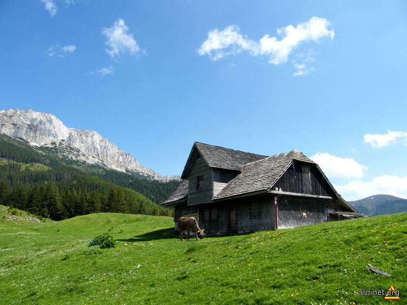 Casa de vânătoare din Poiana Guţanu (ar putea deveni o excelentă cabană turistica)