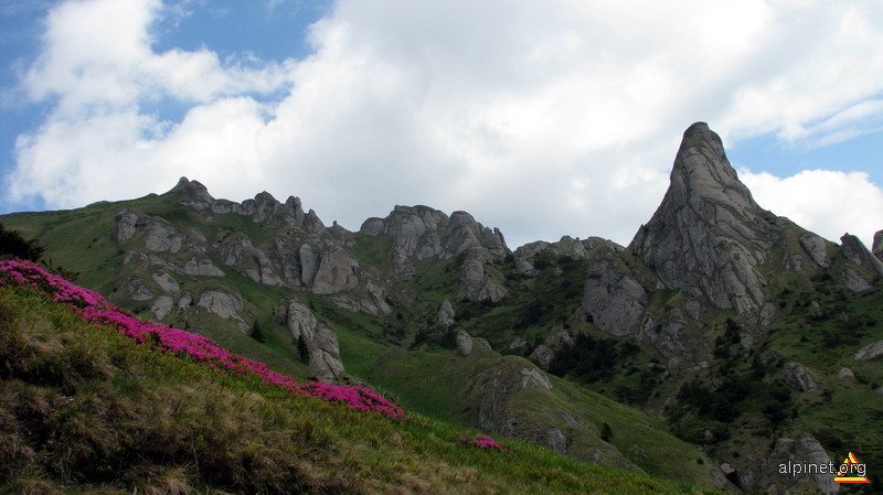 Cetăţi de zahăr