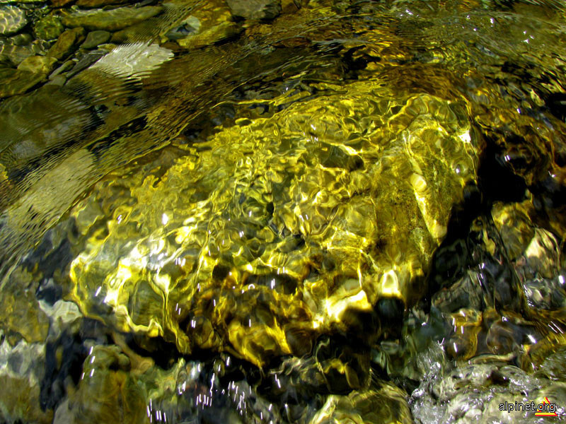 gold river 1