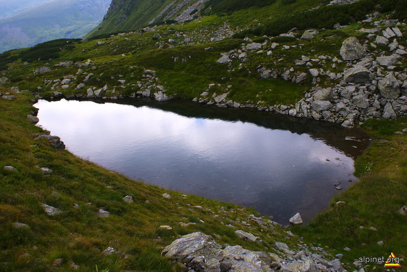 Lacrima de munte