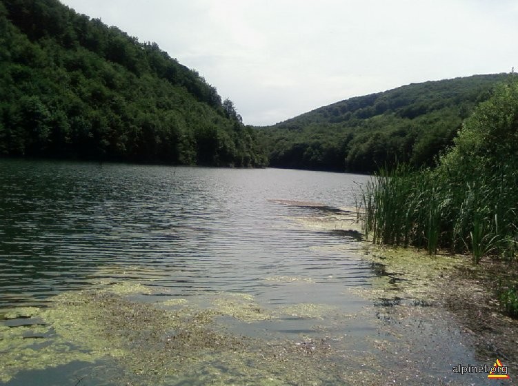 Lacul Cozia (Steril)