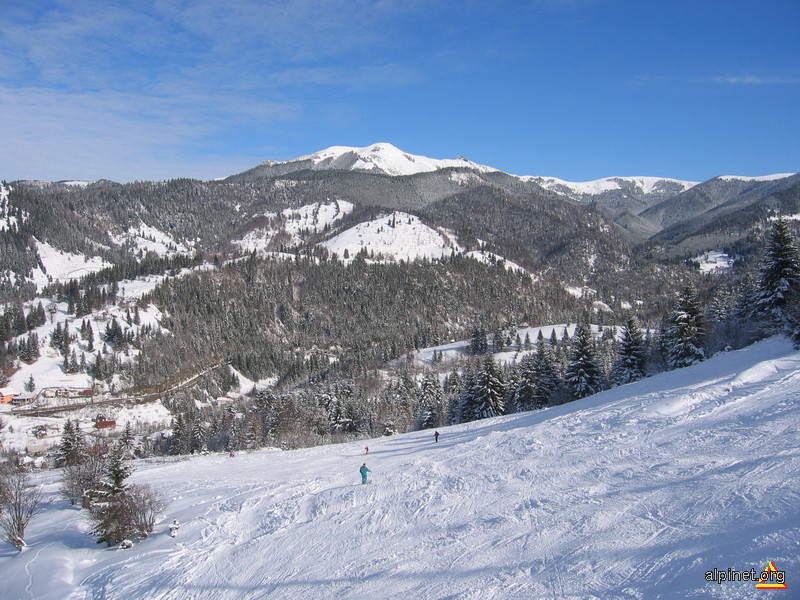 La schii