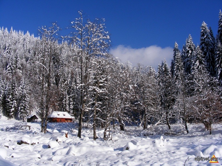 Cabană silvică pe valea Cernatului