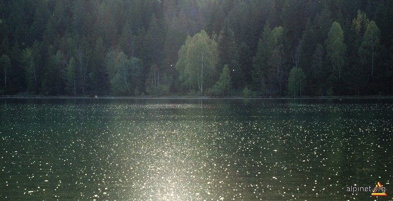 Lacul