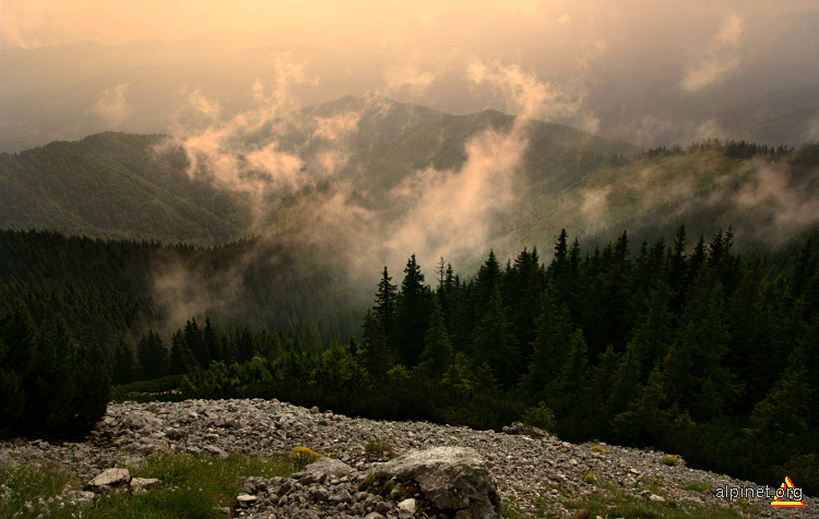 Valea Dâmboviţei