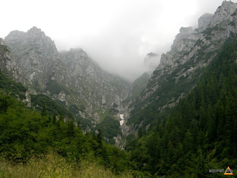 Valea Bucşoiului