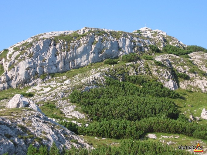 Vârful Piatra Iorgovanului