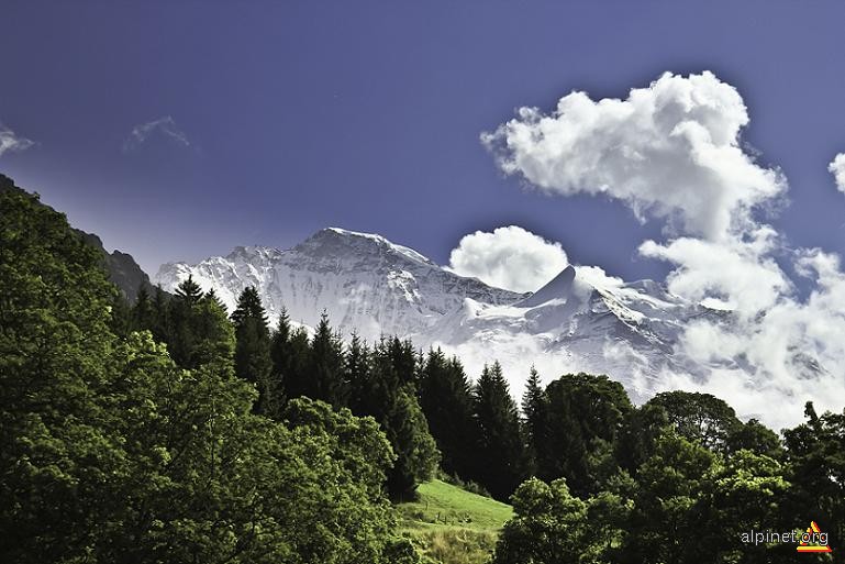 Jungfrau & Silberhorn