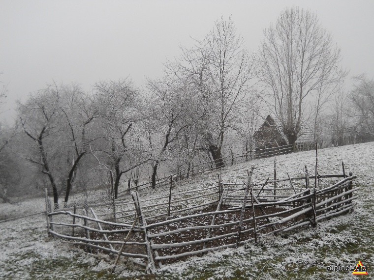 Prima zăpadă la Cioclovina